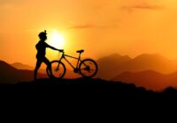 Rower trekkingowy vs rower szosowy – co wybrać?
